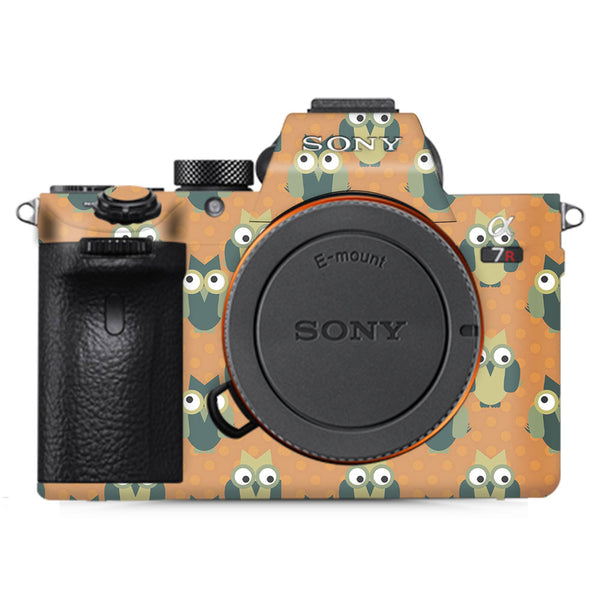 Awkward Owl - Sony Camera Skins