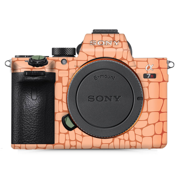 Crocodile Pattern 02 - Sony Camera Skins