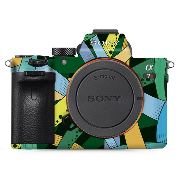 Modern Art - Sony Camera Skins