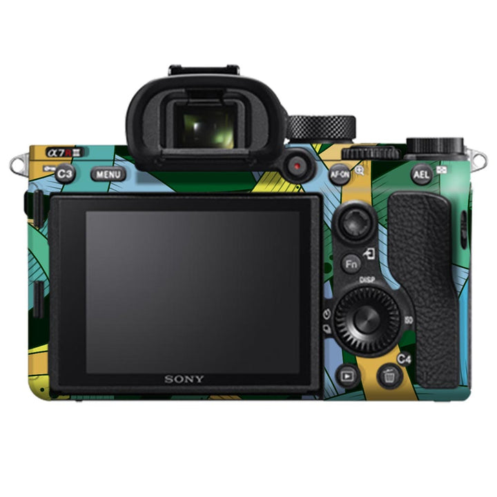 Modern Art - Sony Camera Skins