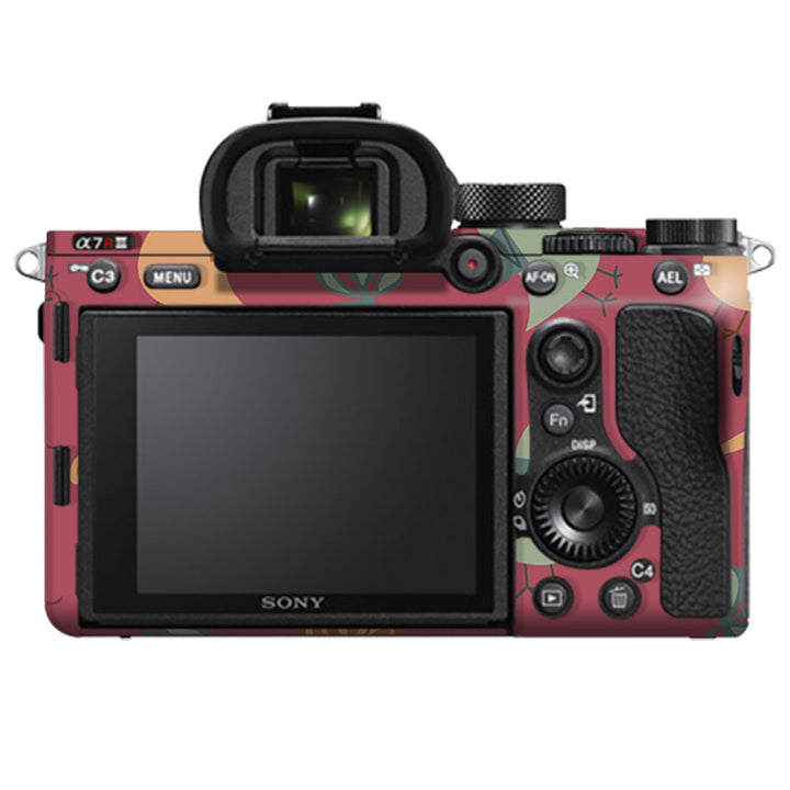 Robins - Sony Camera Skins