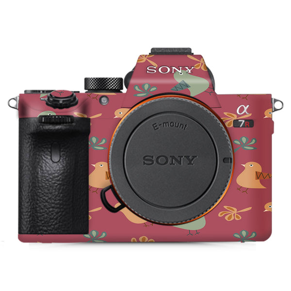 Robins - Sony Camera Skins
